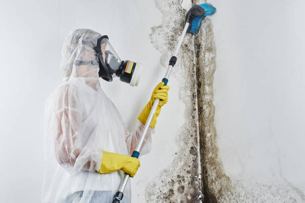 Water Damage Restoration in Kyle, TX