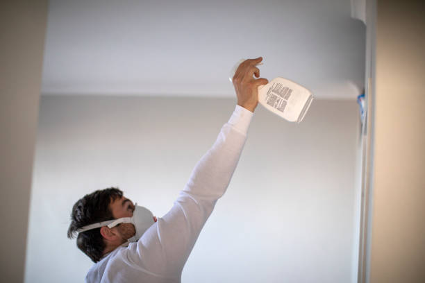 Best Mold Cleaning Services  in Kyle, TX